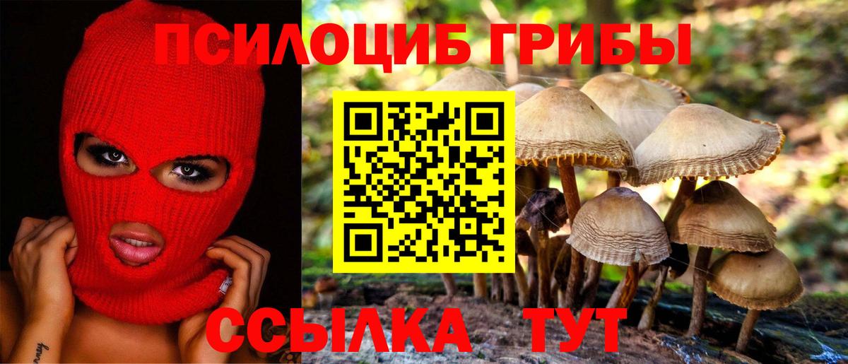 Галлюциногенные грибы GOLDEN TEACHER  Вход с VPN  Псилоцибиновые грибы Psilocybe  Борзя 